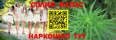мяу мяу мука Краснознаменск