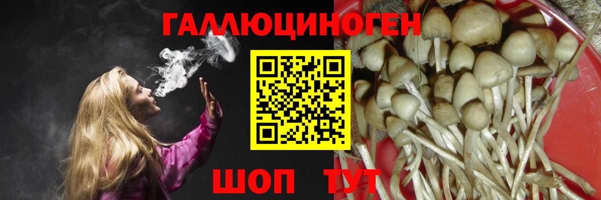 Галлюциногенные грибы GOLDEN TEACHER Тихорецк